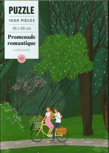 Actual product image Larousse pratique Promenade romantique : puzzle 1000 pièces