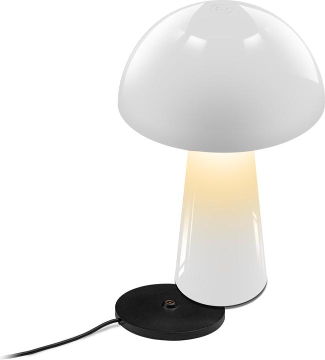 Image du produit Century LED Lampe de table COCO blanc 1,5W 2700K 100 lumens Dimm. IP44 (100 lm)