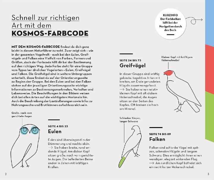 Immagine prodotto Kosmos Basic Greifvögel und Eulen (Tedesco, Volker Dierschke, 2023)