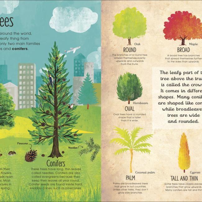Immagine prodotto RHS The Magic and Mystery of Trees (Inglese, Jen Green, Claire McElfatrick, 2019)
