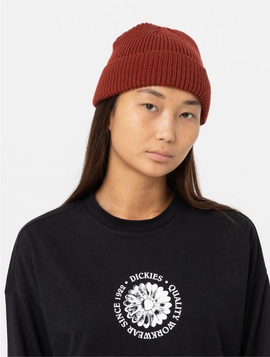 Actual product image Dickies Woodworth Beanie
