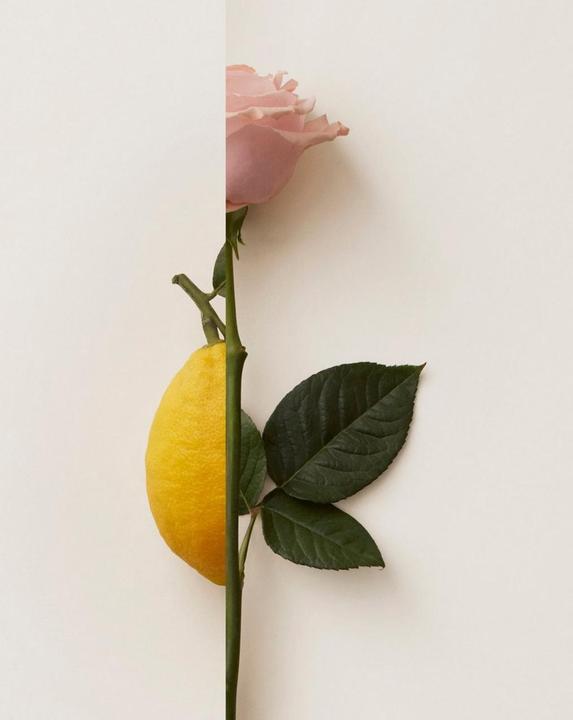 Actual product image New Notes Pink Lime Extrait de Parfum (Eau de parfum, 50 ml)