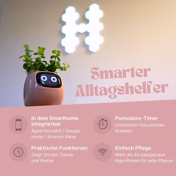 Actual product image Hermex Smart flower pot (11 cm)