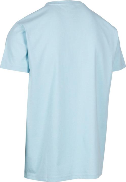 Actual product image Trespass Mens Cedarf Printed T-Shirt (M)