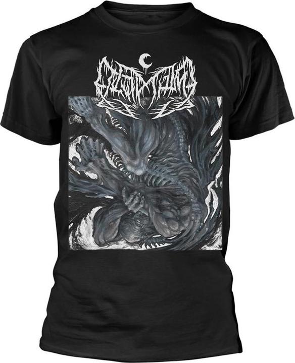 Actual product image Universal Textiles Unisex Adult Conspiracy T-Shirt (S)