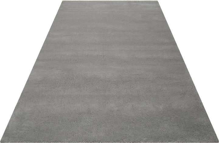 Immagine prodotto Esprit Greenwood Rug (140 x 200 cm)