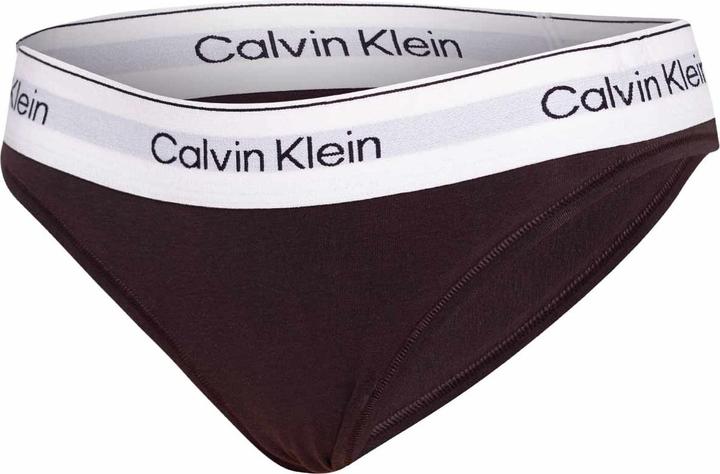 Image du produit Calvin Klein Bikini (S)