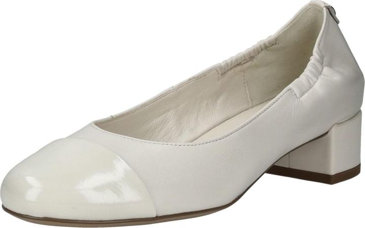 Högl Pumps (39)