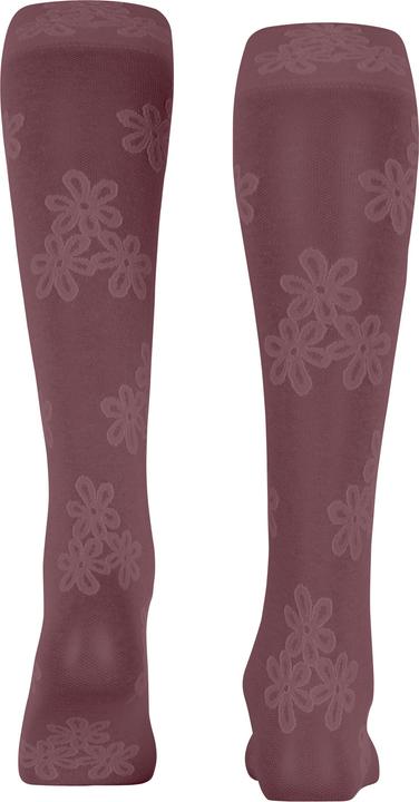 Produktbild Falke Ice Flower 40 DEN Damen (40 DEN, 35 - 38)
