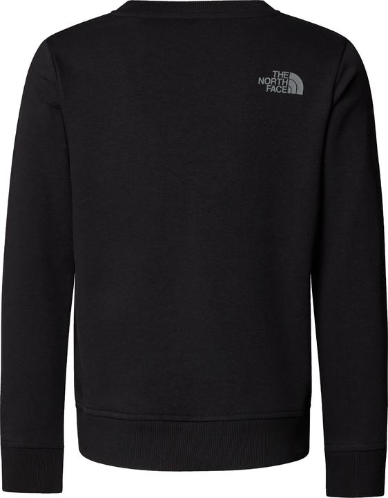 Actual product image North Face B Drew Peak Light (XL)