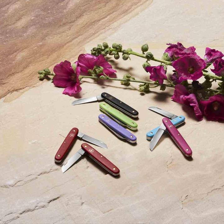 Image du produit Victorinox couteau à fleurs (10 cm)