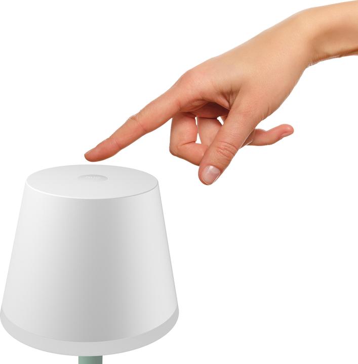 Productafbeelding Philips Hue Hue Go (370 lm)