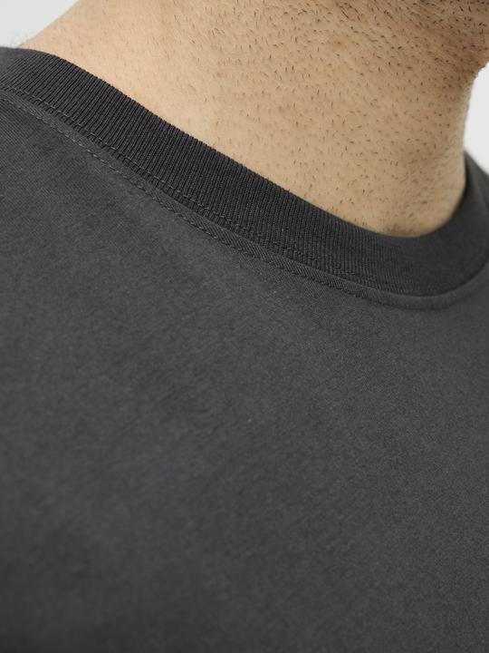 Actual product image Jack & Jones Rdddan Crew Neck Tee S/S Noos (L)