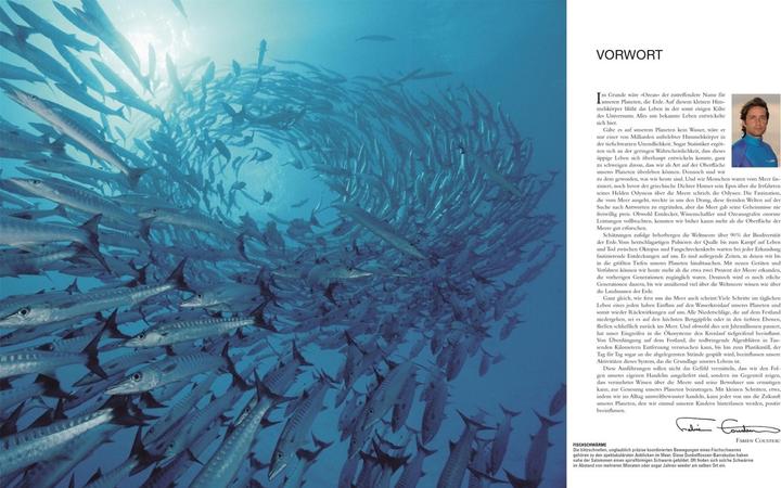 Image du produit Ozeane. DK Bibliothek (Allemand, Philip Eales, Frances Dipper, Monty Halls, Michael Scott, Robert Dinwiddie, Kim Dennis-Bryan, David Bernie, Sue Scott, 2023)