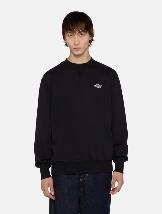 Immagine prodotto Dickies Felpa Summerdale (S)