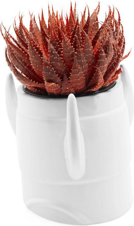Image du produit Luckies Rocket Planter (15 cm)
