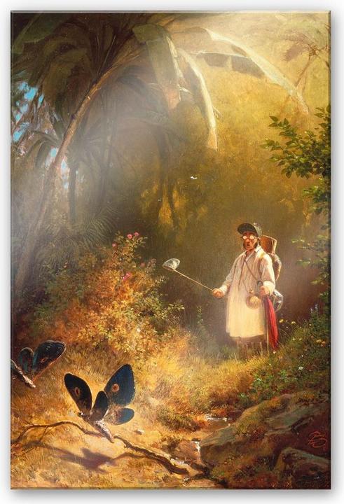 Produktbild Trenddeko Spitzweg - Der Schmetterlingsfänger (70 x 100 cm)