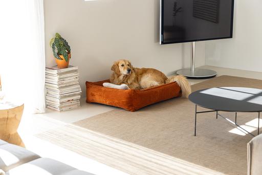 Image du produit Designed by Lotte Ribbed (Chien)