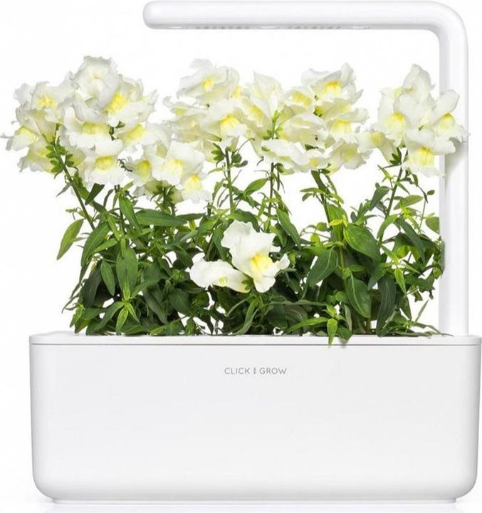 Image du produit Click and Grow Semences de gueules-de-loup blanches pack de 3