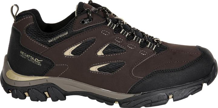 Produktbild Regatta Wanderschuhe Holcombe IEP Low (41)