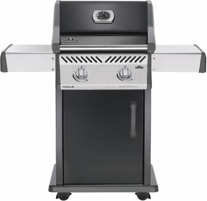 Produktbild Napoleon R365 (9.50 kW)