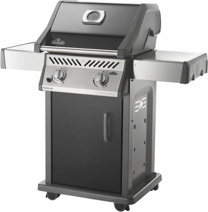 Produktbild Napoleon R365 (9.50 kW)
