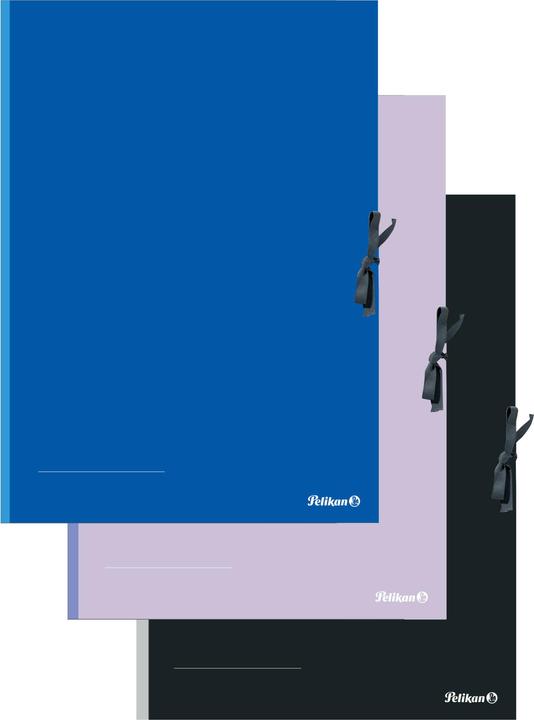 Produktbild Pelikan Sammelmappe farbig FSC (A2, 1 x)