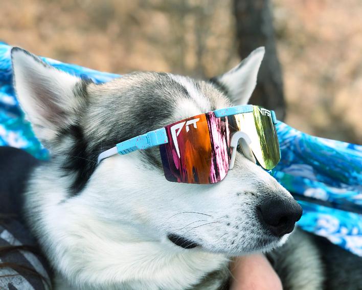 Actual product image Pit Viper The Gobby Polarized (Light blue, Blue)