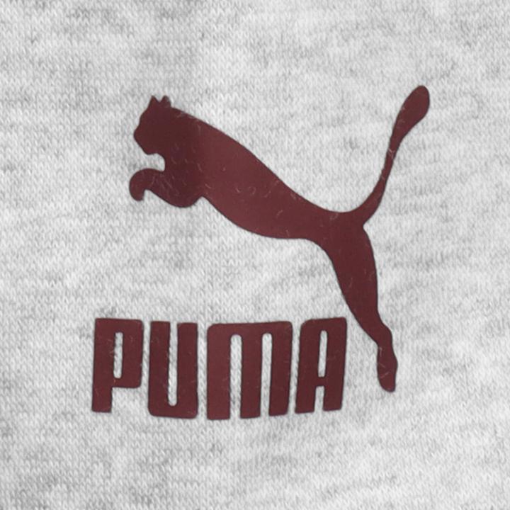Produktbild Puma Team Hoodie FL (S)