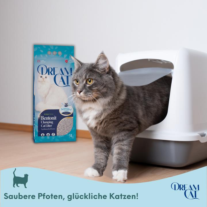Immagine prodotto Dream Cat Lettiera per gatti al profumo di polvere di bambino - lettiera fine a base di bentonite, 5 litri (Raggruppamento, 4.25 kg)