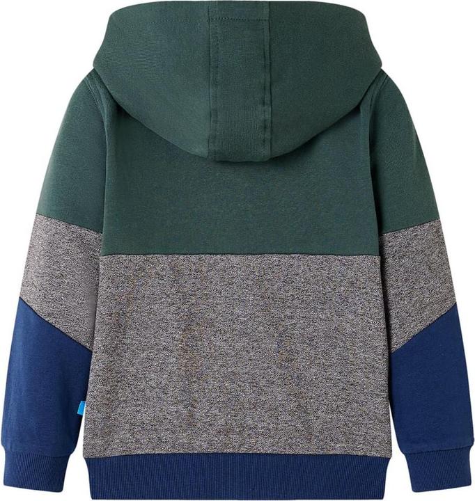 Image du produit VidaXL Sweat à capuche zippé pour enfant Vert foncé (116)