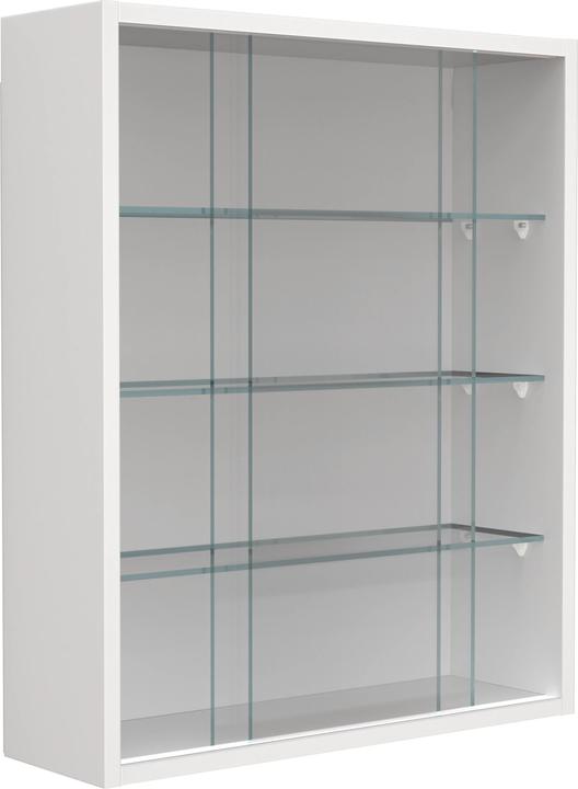 Image du produit VCM Hängevitrine Wandvitrine Glas Drivalo M (60 x 50 x 15 cm)