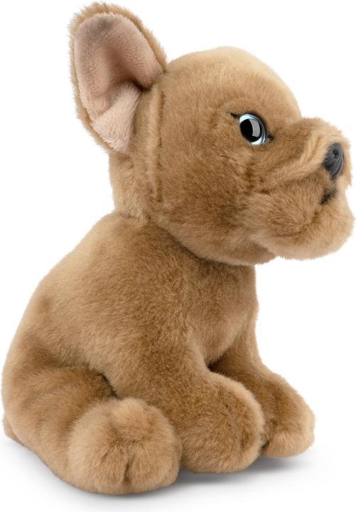 Image du produit Living Nature Französische Bulldogge Welpe beige (17 cm)