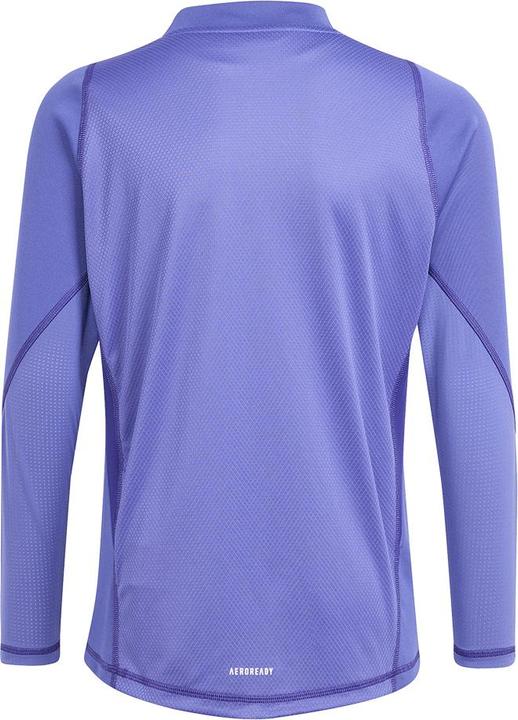 Actual product image adidas Tiro24 P Gk Jsy Ly (176)