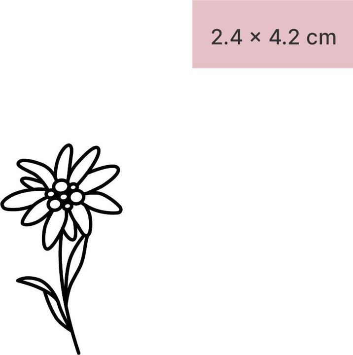 Actual product image minink Temporary tattoo - Edelweiss flower