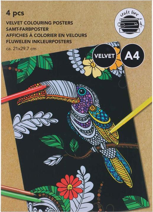 Actual product image Craft Poster for the search term: "velvet colours"
