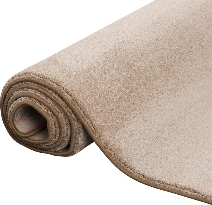 Produktbild Snapstyle Hochflor Luxus Velours Teppich Touch (100 x 400 cm)