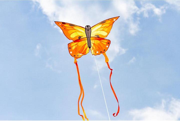 Produktbild Invento Drachen Ecoline BK Sunrise Butterfly Kite, 120x95 cm, 5 J., Griff und 25 m Schnur