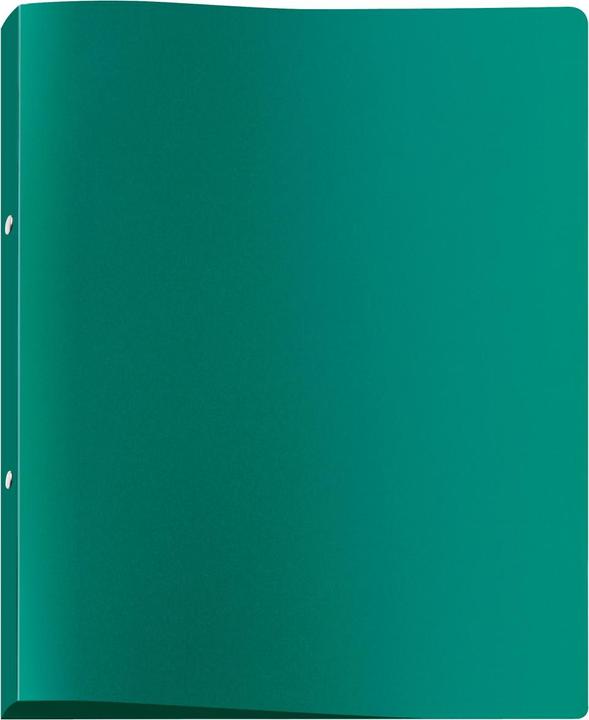 Viquel Raccoglitore ad anelli a 2 anelli verde 2,5 cm DIN A4 (A4, 25 mm, 1 Pezzo/i)