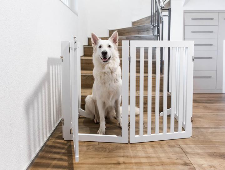 Immagine prodotto Deek Pets Londra