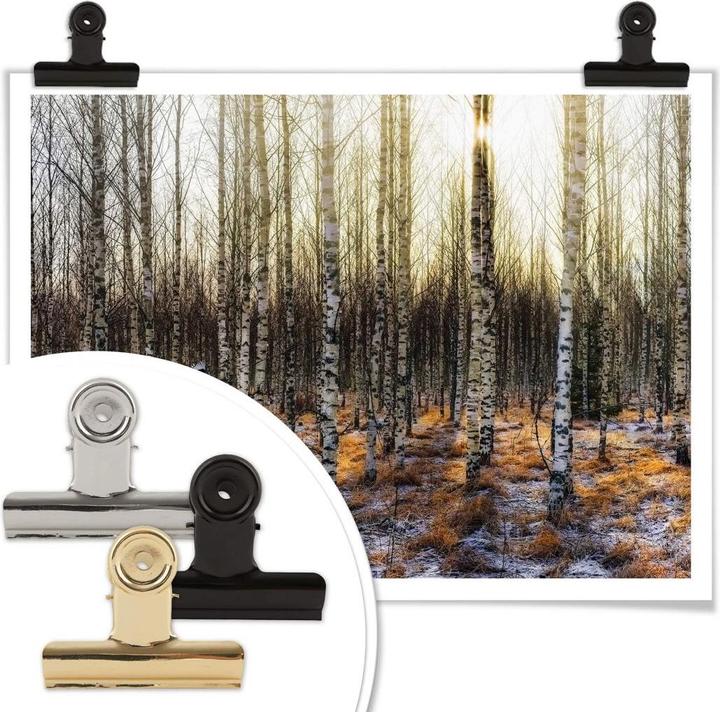 Immagine prodotto Trenddeko Il sole nella foresta di betulle (40 x 30 cm)