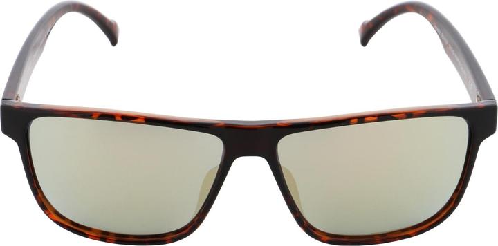 Actual product image Red Bull Spect Casey RX