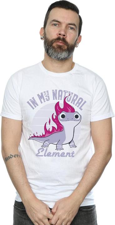 Image du produit Disney - T-shirt FROZEN SALAMANDER BRUNI ELEMENT - Homme (3XL)