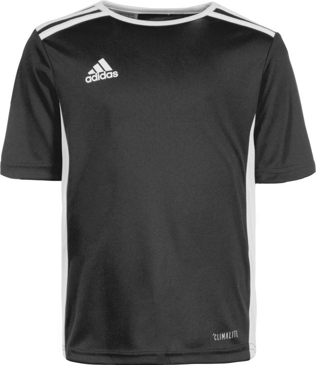 adidas Entrada 18 Fussball (128)