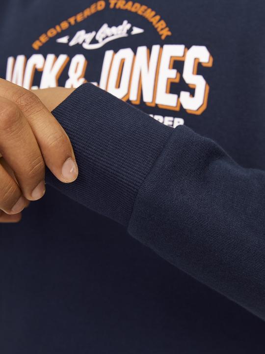 Image du produit Jack & Jones JJELOGO SWEAT HOOD 2 COL 24/25 NOOS MNI (122)