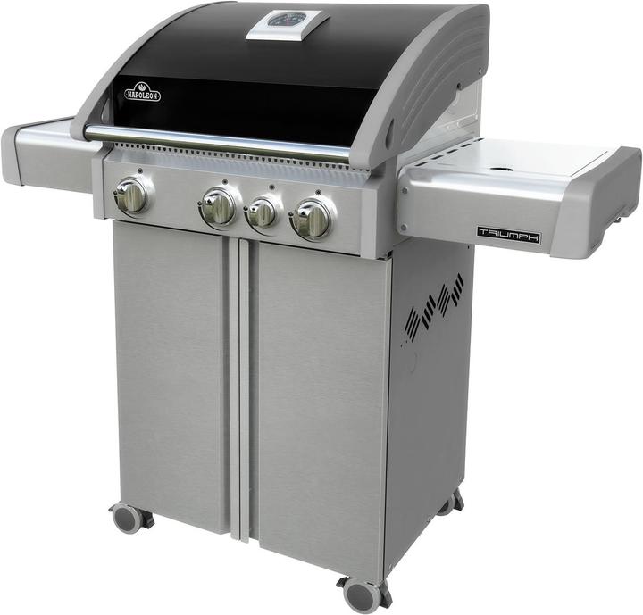 Produktbild Napoleon T410sbpk (14.40 kW)