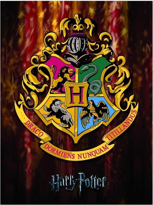 Actual product image Framed Canvas Print Hogwarts Crest (80 x 60 cm)