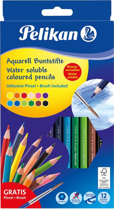 Immagine prodotto Pelikan Pastelli Acquerello ad acqua (Giallo, Pink, Blu chiaro, Verde chiaro, Blu scuro, Arancia, Verde scuro, Viola, Marrone, Rosso, Colore pelle, Nero, 12 x)