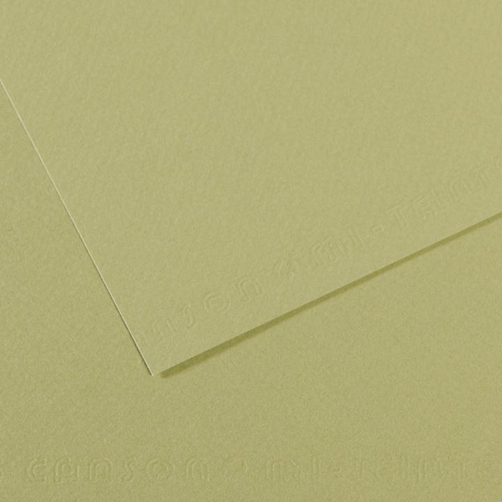 Immagine prodotto Canson Carta da disegno Mi-Teintes, verde chiaro (160 g/m²)