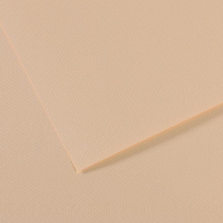 Image du produit Canson Papier à dessin Mi-Teintes, beige pastel (160 g/m², 1 x)